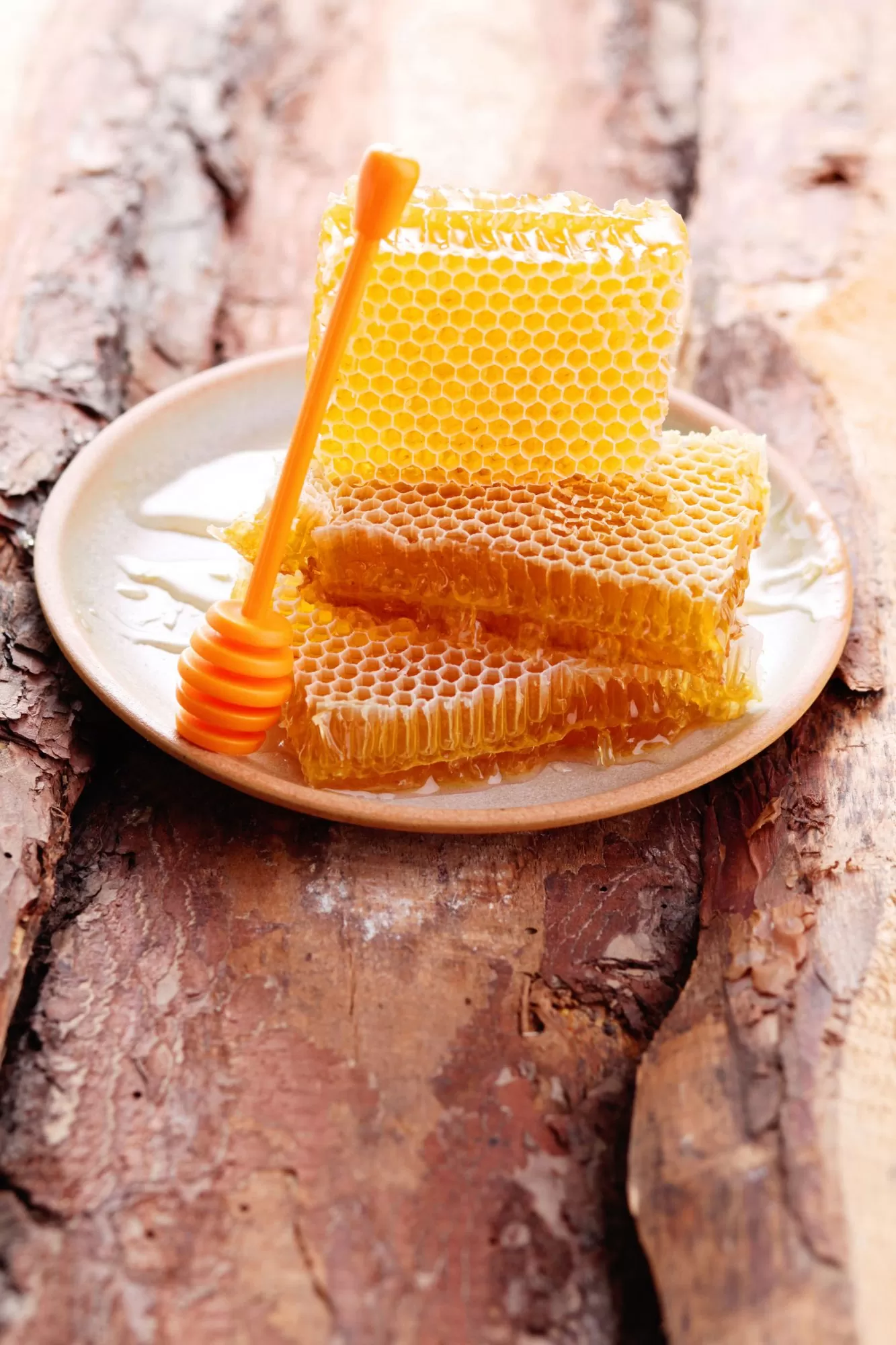 Comb honey 500 g