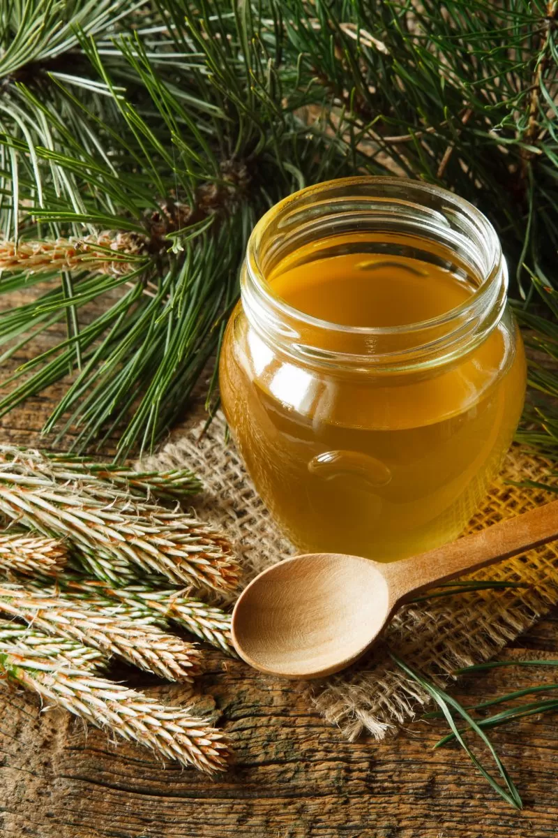 Pine needles honey syrup 100 ml